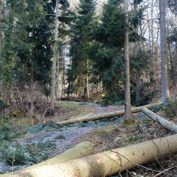 Société Jean Roger spécialiste du terrassement et autres travaux à Béziers, Pezenas et Bédarieux