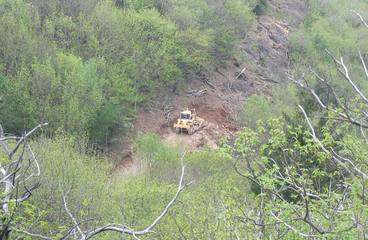 Travaux Forestiers