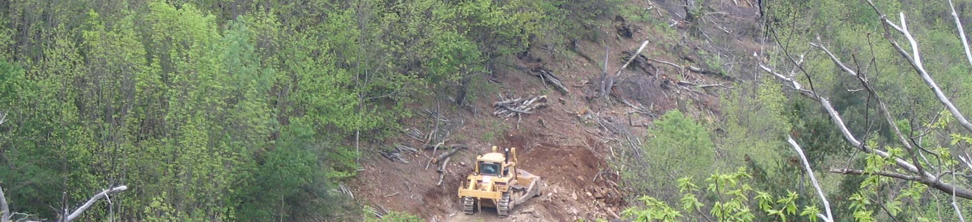 Travaux forestier