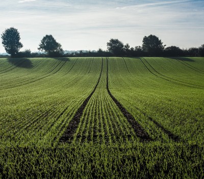 Spécialiste des travaux agricoles à Pezenas